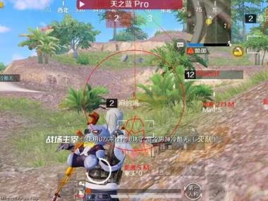 怎么调查和平精英外挂（和平精英调查外挂）